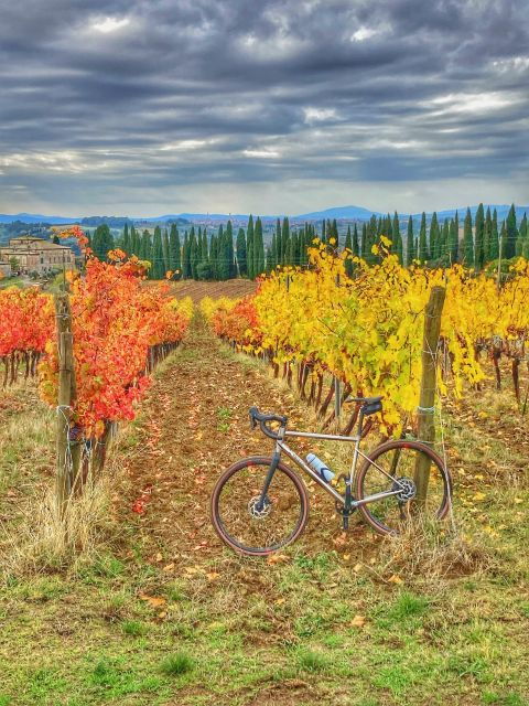 Siena: Chianti Classico Guided Cycling Tour - Final Thoughts