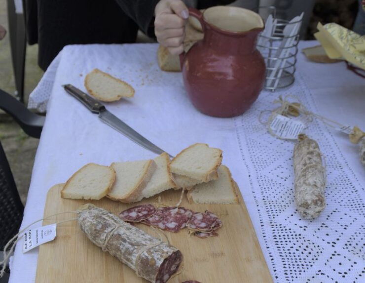Siena - Discover a Real Cinta Senese Pig Farm - Farm Visit Highlights