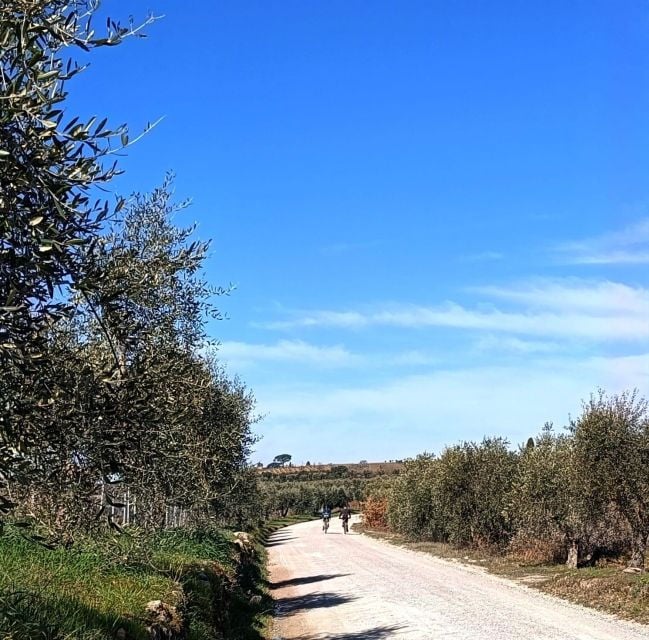Siena: E-Bike Tour in the Chianti Senese With Lunch - Inclusions