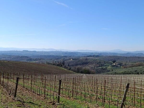 Siena: E-Bike Tour in the Chianti Senese With Lunch - Bike Tour