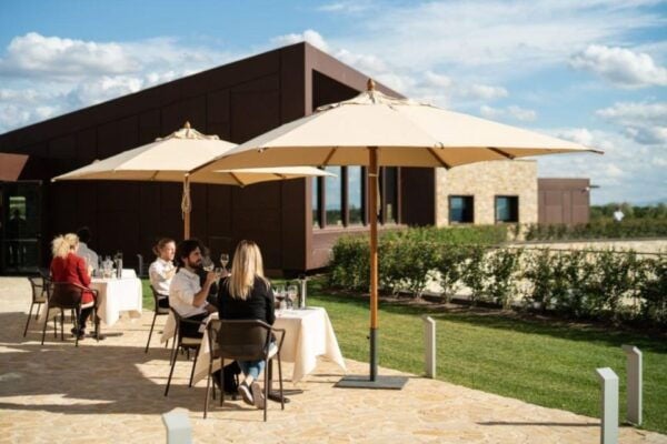 Siena: E-Bike Tour in the Chianti Senese With Lunch - Frequently Asked Questions