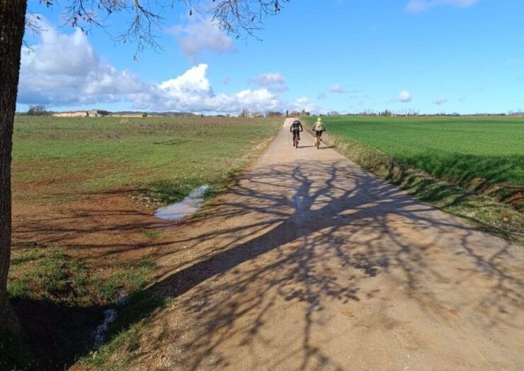 Siena: E-Bike Tour on the via Francigena With Brunch - Good To Know