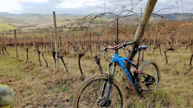 Siena: E-Bike Tour on the via Francigena With Brunch - Tour Overview