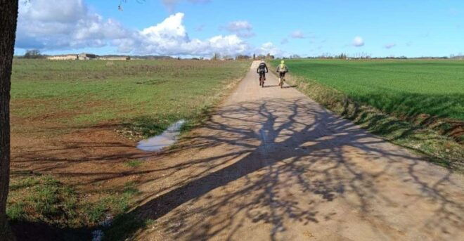 Siena: E-Bike Tour on the via Francigena With Brunch - Language and Group Size