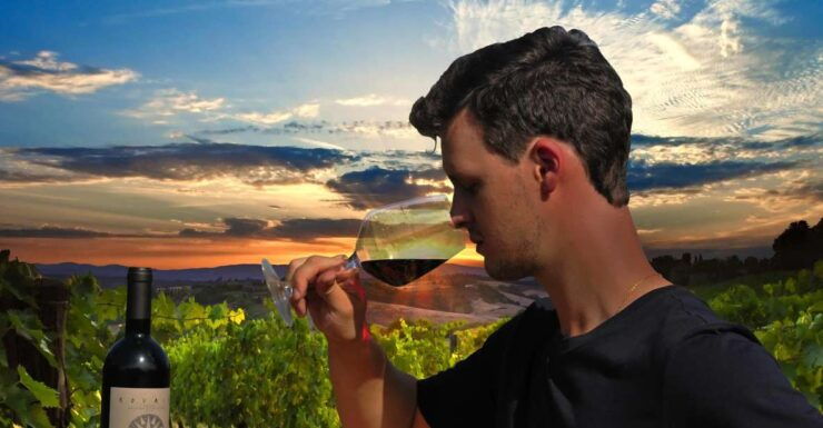 Siena: Educational Wine Tour & Tasting - Booking Details