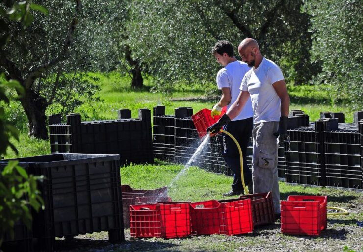 Siena: Educational Wine Tour & Tasting - Experience Highlights
