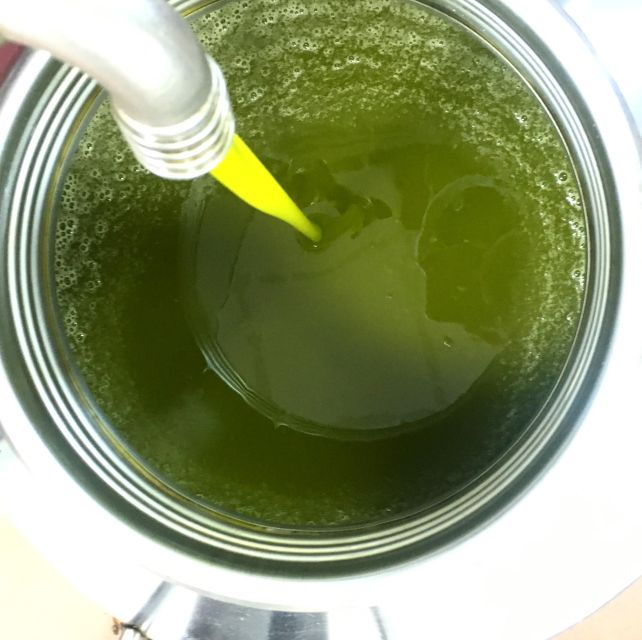 Siena: EVO Oil Experience With Walk, Tasting and Lunch - Good To Know