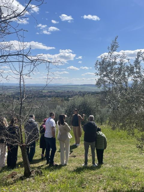 Siena: EVO Oil Experience With Walk, Tasting and Lunch - Additional Information