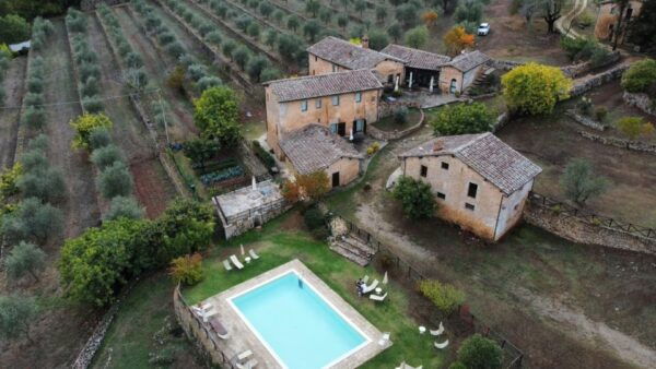 Siena: EVO Oil Experience With Walk, Tasting and Lunch - The Sum Up