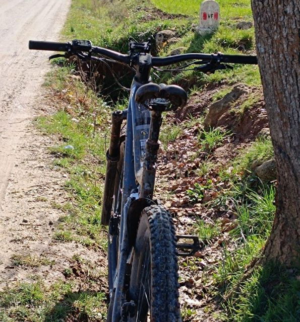 Siena Experience Review: Unforgettable Adventures Await - Frequently Asked Questions