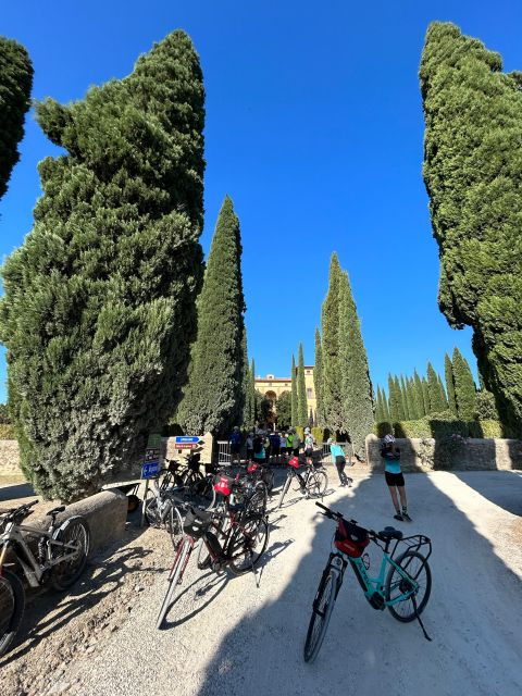 Siena: Guided Bike Tour of Val D'orcia - Good To Know
