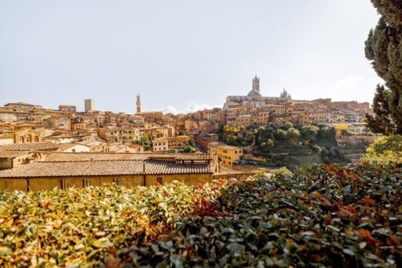 Siena : Highlights Private Walking Tour - The Iconic Piazza Del Campo