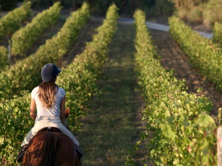 Siena: Horseback Adventure in the Tuscan Countryside - Activity Details