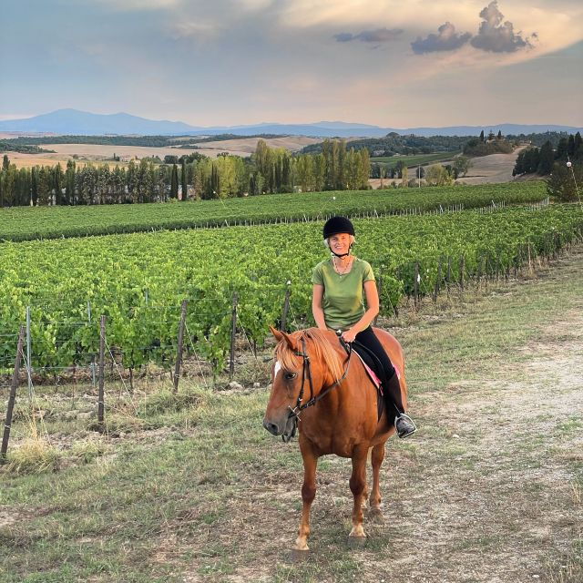 Siena: Horseback Adventure in the Tuscan Countryside - Experience