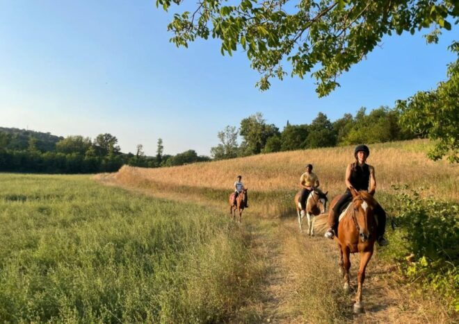Siena: Horseback Adventure in the Tuscan Countryside - Additional Information