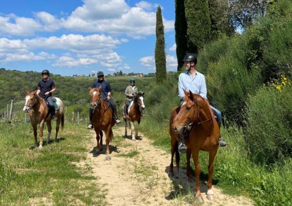 Siena: Horseback Adventure in the Tuscan Countryside - Common Questions