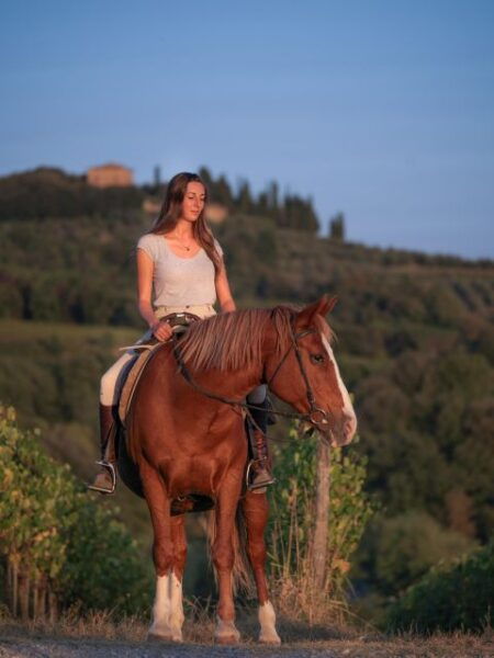 Siena: Horseback Adventure in the Tuscan Countryside - The Sum Up