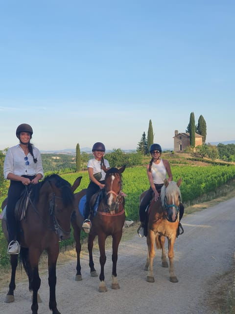 Siena: Horseback Riding Tour in the Tuscany Countryside - Optional Experiences: Picnic and Wine Tasting