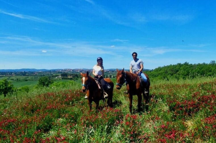 Siena: Horseback Riding Tour in the Tuscany Countryside - Customer Reviews and Ratings