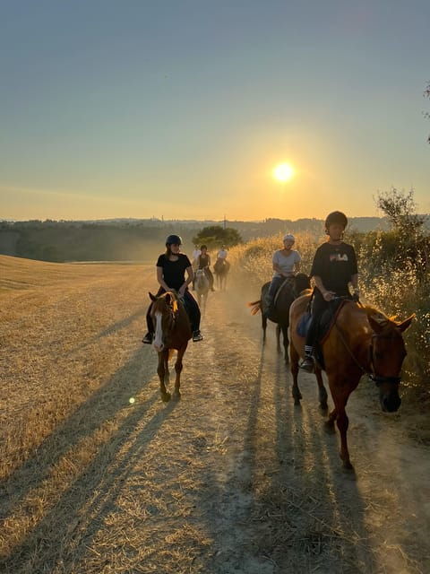 Siena: Horseback Riding With Siena in the Background - Tasting Local Delicacies
