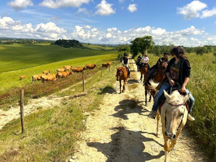 Siena: Horseback Riding With Siena in the Background - Important Preparation Tips