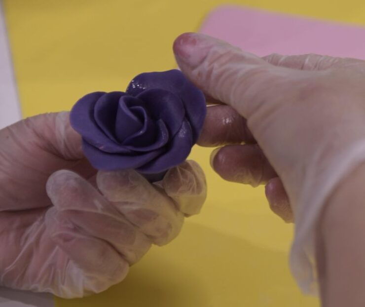 Siena: Make Fun Decorations With Cake Design - Good To Know