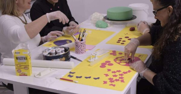 Siena: Make Fun Decorations With Cake Design - Not Suitable For