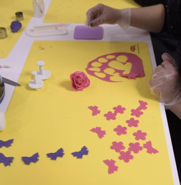 Siena: Make Fun Decorations With Cake Design - Frequently Asked Questions