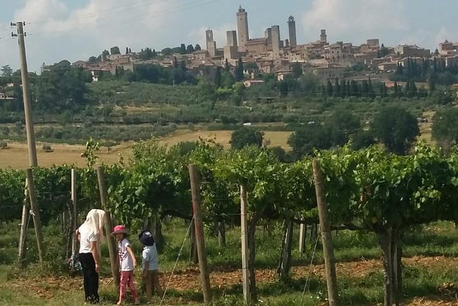 Siena Monteriggioni San Gimignano With Lunch&Winetasting Full Day From Florence - Itinerary and Inclusions