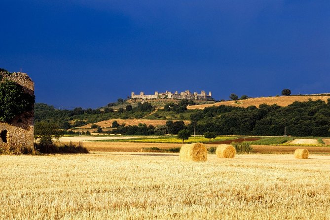Siena Monteriggioni San Gimignano With Lunch&Winetasting Full Day From Rome - Pickup Details