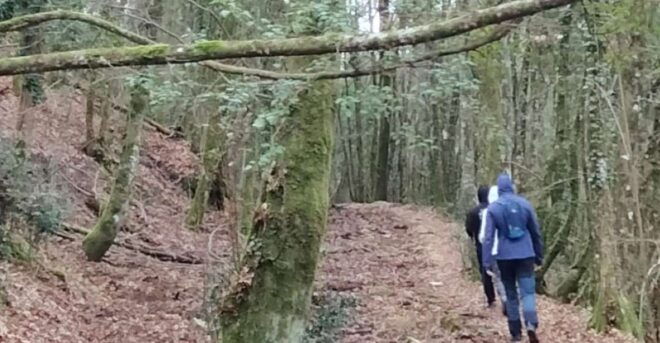Siena - Nature and Scenic Trekking in Beautiful Tuscany - Important Information