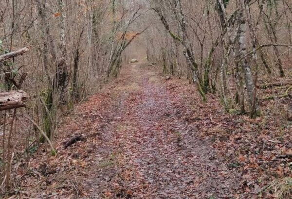 Siena - Nature and Scenic Trekking in Beautiful Tuscany - Directions