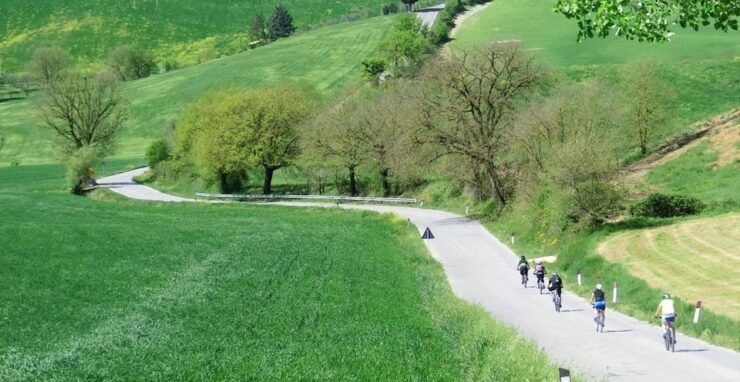 Siena: Pedaling E-Bikes to the Siena Countryside - Tour Details