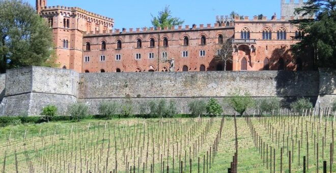 Siena: Pedaling E-Bikes to the Siena Countryside - Restrictions
