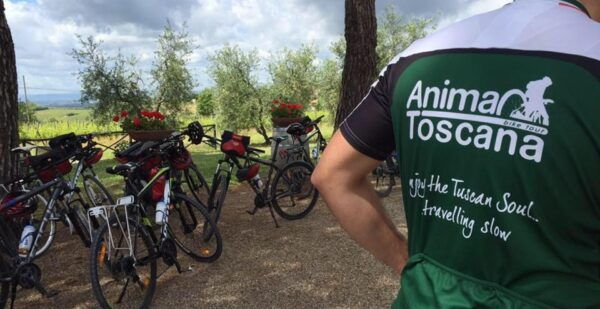 Siena: Pedaling E-Bikes to the Siena Countryside - Directions