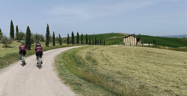 Siena: Pedaling E-Bikes to the Siena Countryside - Highlights
