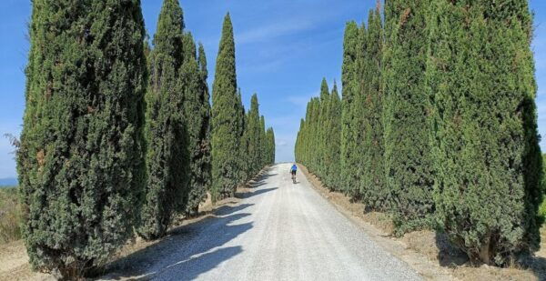 Siena: Pedaling E-Bikes to the Siena Countryside - Frequently Asked Questions