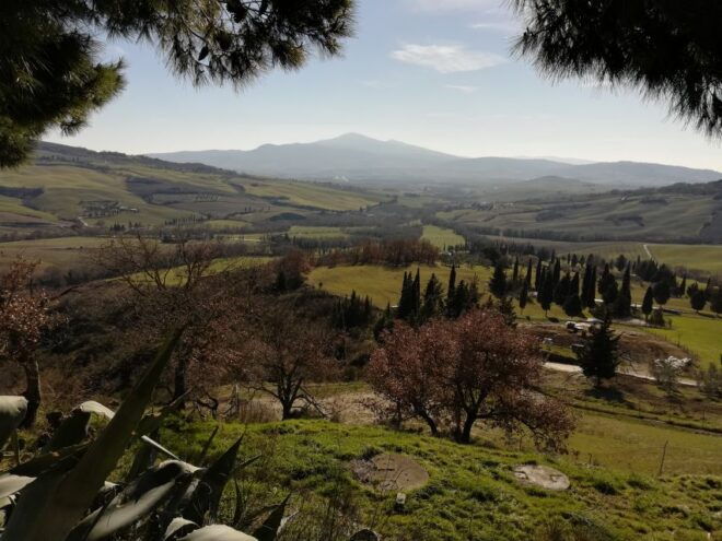 Siena - Rome Transfer Tour With Orvieto & Montepulciano - Additional Information