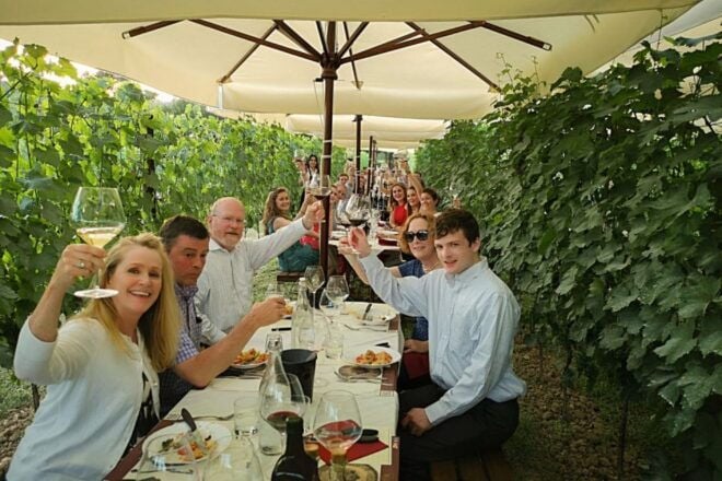Siena & S. Gimignano: One Day Tuscany Wine Tour, Small Group - Languages and Logistics