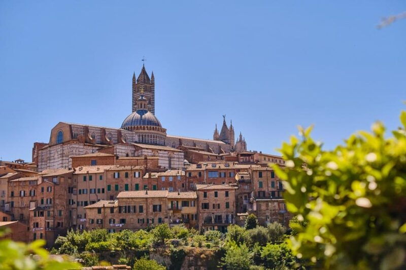 Siena, San Gimignano and Monteriggioni Tour From Florence - Good To Know