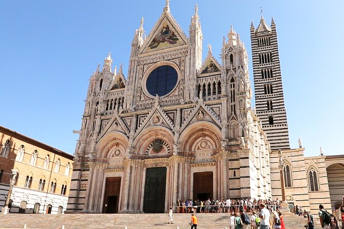 Siena San Gimignano Pisa Escorted Transport and Optional Lunch - Highlights and Time Constraints