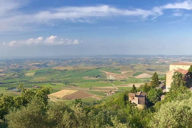 Siena, San Gimignano & the Chiantiside Private Tour With Mercedes V Class Van - Traveler Photos