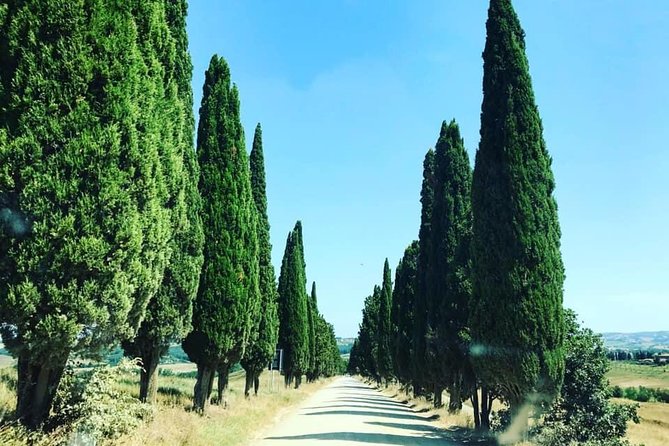 Siena, San Gimignano & the Chiantiside Private Tour With Mercedes V Class Van - Directions