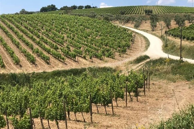 Siena, San Gimignano & the Chiantiside Private Tour With Mercedes V Class Van - Common Questions