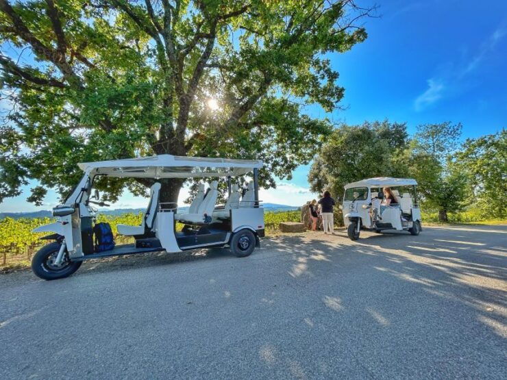 Siena: Tuk Tuk Tour With Wine Tasting - Group Size and Language Options