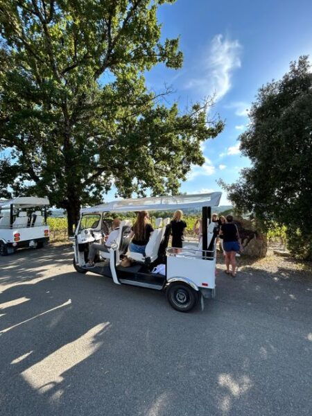 Siena: Tuk Tuk Tour With Wine Tasting - Inclusions and Customer Review