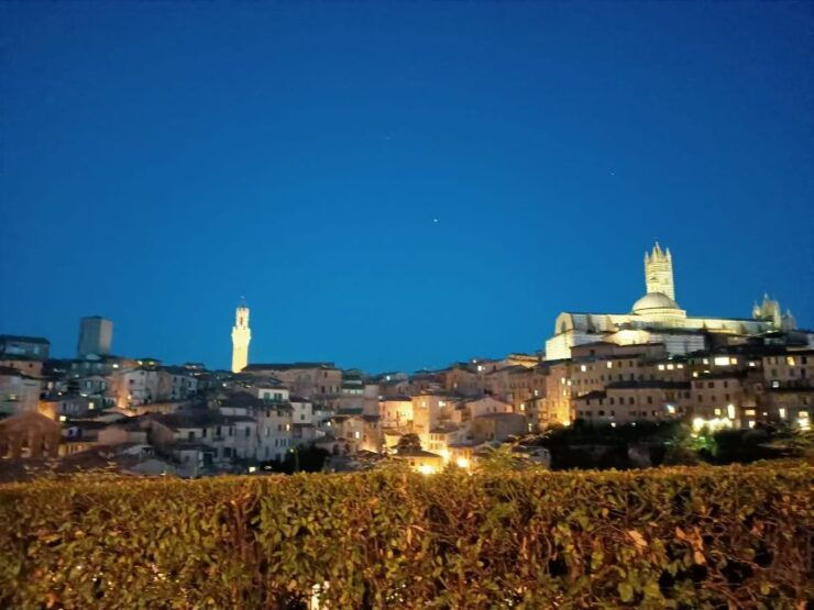 Siena Underground Wine Tasting in a Medieval Cave - Activity Details