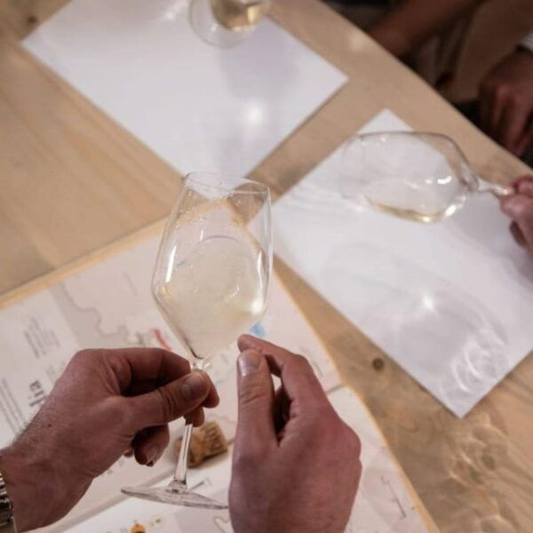 Siena: Wine Tasting Experience With Italian Sparkling Wines - Regional Grape Varieties