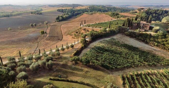 Siena: Winery Tour/Tasting With Owner/Maker of Awarded Wines - Experience Highlights
