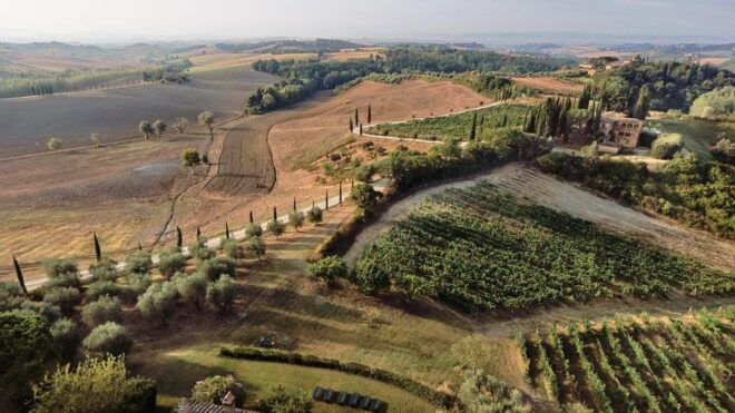 Siena: Winery Tour/Tasting With Owner/Maker of Awarded Wines - Winemaking Secrets